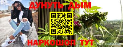 стафф Краснознаменск