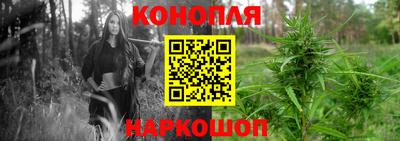 винт Краснодар