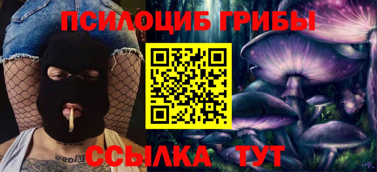 Галлюциногенные грибы GOLDEN TEACHER  Вход с VPN  купить наркотики цена  Гай 