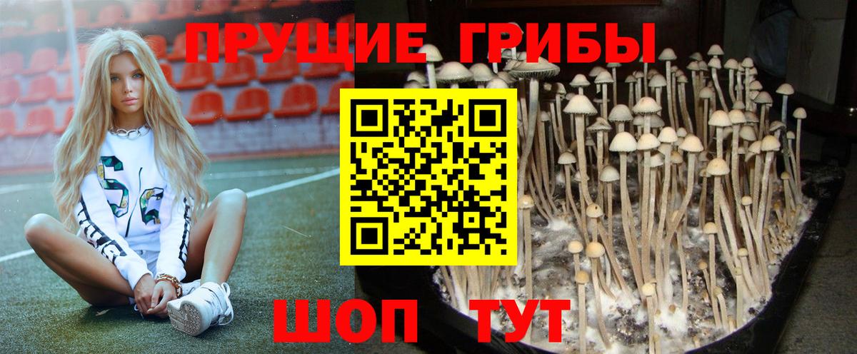 Галлюциногенные грибы GOLDEN TEACHER Гай